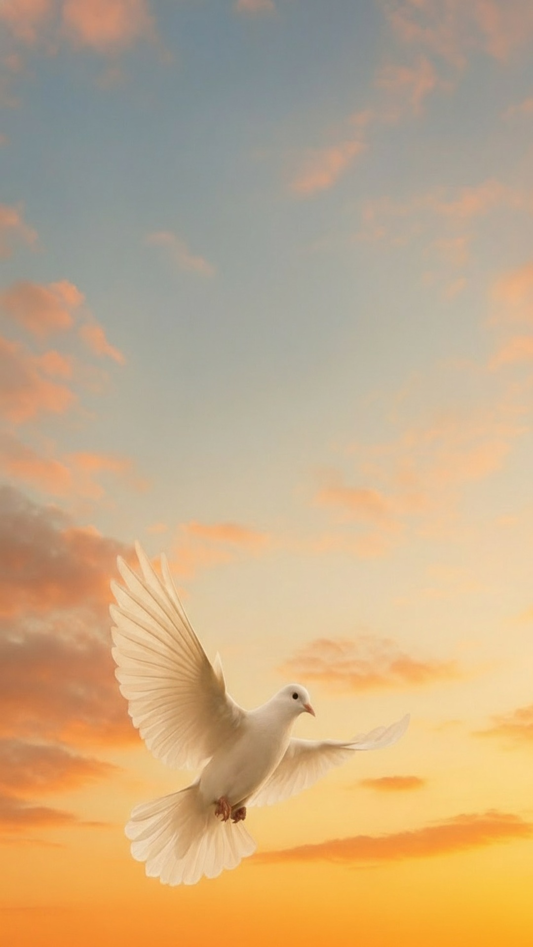 Sky Dove